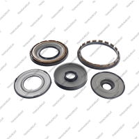 Комплект поршней (5шт., обрезиненные)