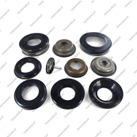 Комплект поршней (10шт., обрезиненные, с поршнем сервопривода)*